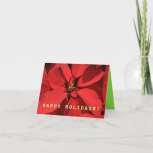 Cartes Pour Fêtes Annuelles Noël simple Poinsettia
