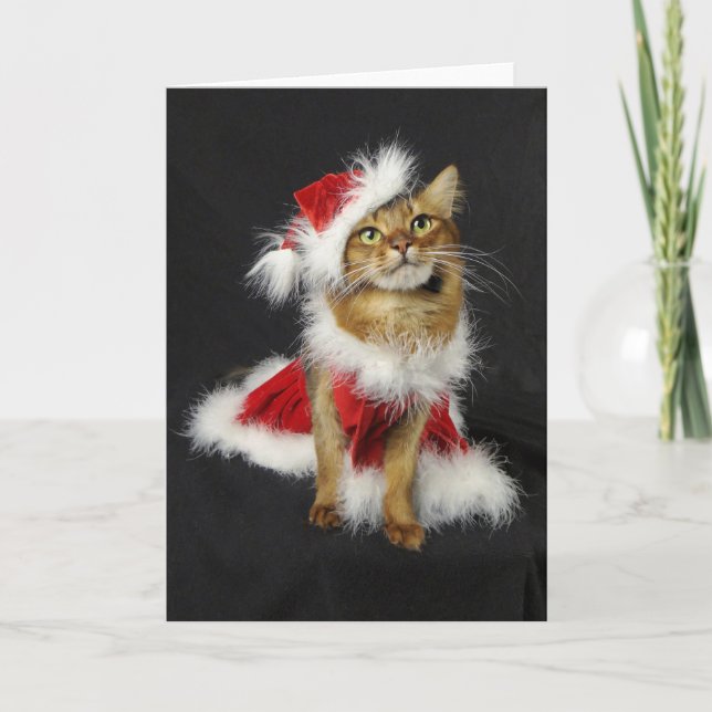 Cartes Pour Fêtes Annuelles Noël somalien de chat de la petite aide de Père (Devant)