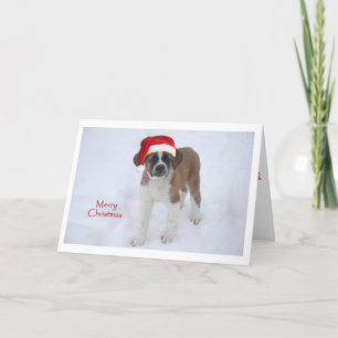 Cartes Pour Fêtes Annuelles Noël St Bernard Puppy