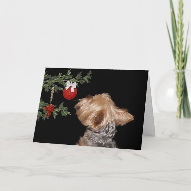 Cartes Pour Fêtes Annuelles Noël tenté de Yorkie (Devant)