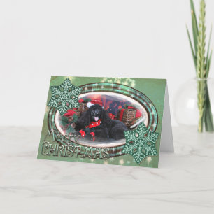 Cartes Pour Fêtes Annuelles Noël - Toby - Poodle