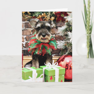Cartes Pour Fêtes Annuelles Noël - Tom Dooley - Schnauzer #2