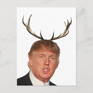 Cartes Pour Fêtes Annuelles Noël Trump : Monsieur le Président, cerf
