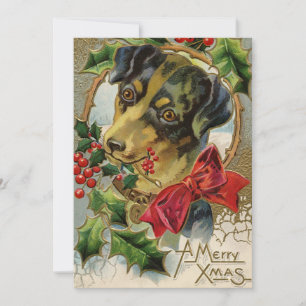 Cartes Pour Fêtes Annuelles Noël Vintage, chiot teckel avec houx