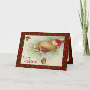 Cartes Pour Fêtes Annuelles Noël vintage, écureuil, pin et cordon