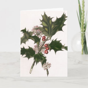 Cartes Pour Fêtes Annuelles Noël vintage, plante de houx avec des baies rouges