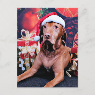 Cartes Pour Fêtes Annuelles Noël - Vizsla - Budda