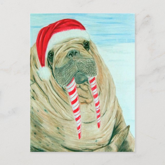 Cartes Pour Fêtes Annuelles Noël Walrus (Devant)