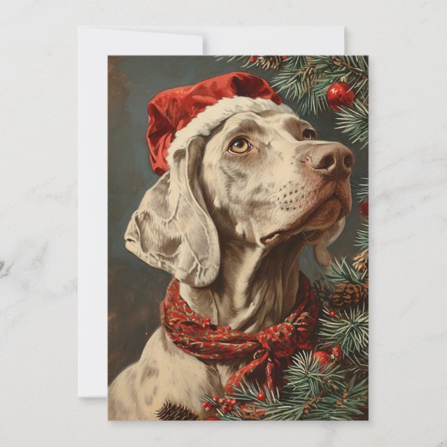 Cartes Pour Fêtes Annuelles Noël Weimaraner (Devant)
