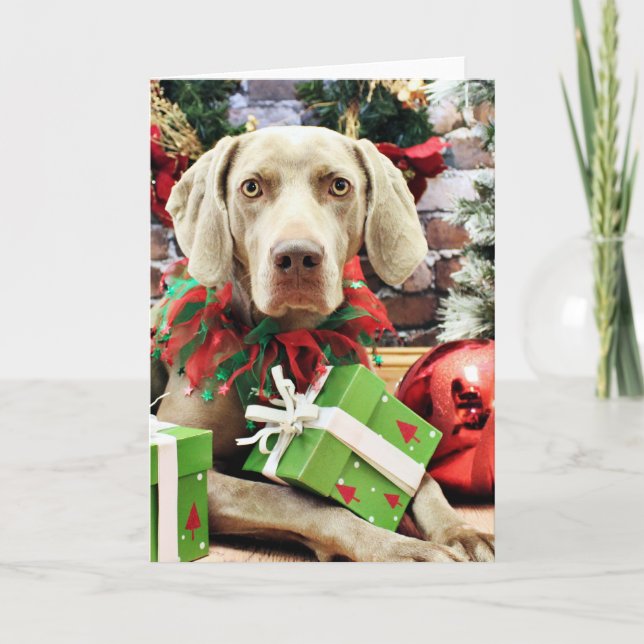 Cartes Pour Fêtes Annuelles Noël - Weimaraner - Lucy (Devant)