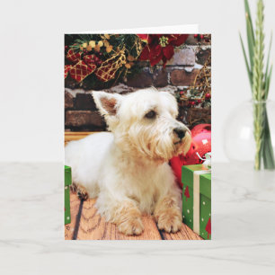Cartes Pour Fêtes Annuelles Noël - Westie - Callie