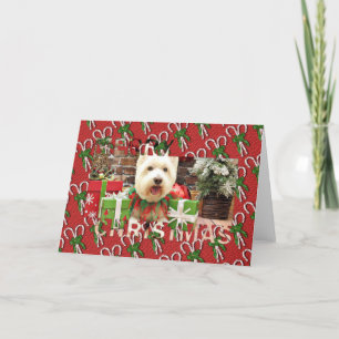 Cartes Pour Fêtes Annuelles Noël - Westie - Lucky