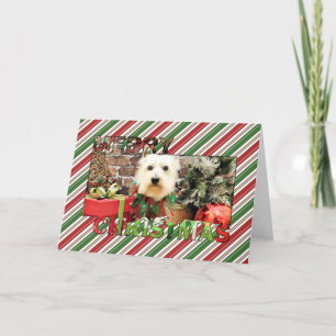 Cartes Pour Fêtes Annuelles Noël - Westie - Sammy