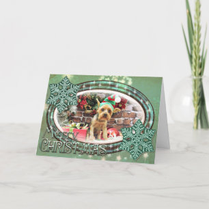 Cartes Pour Fêtes Annuelles Noël - Yorki - nounours