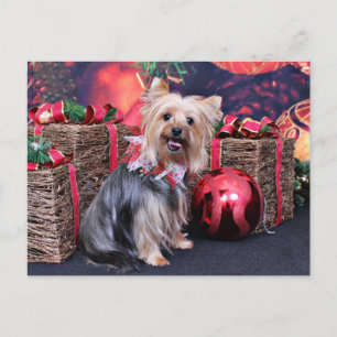 Cartes Pour Fêtes Annuelles Noël - Yorkie - Abby