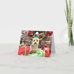 Cartes Pour Fêtes Annuelles Noël - Yorkie - Vinnie #32