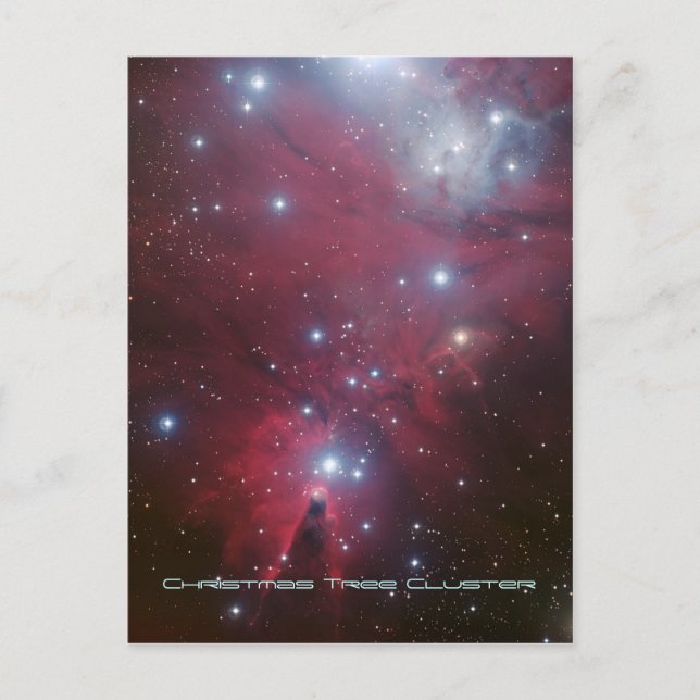 Cartes Pour Fêtes Annuelles Noëls Arbre et Nebula du cône, NGC 2264 (Devant)