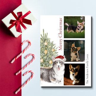 Cartes Pour Fêtes Annuelles Noir Tan Blanc Corgi Noël Arbre animal de compagni