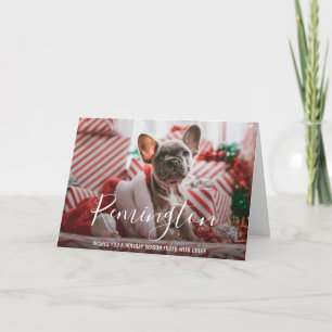 Cartes Pour Fêtes Annuelles Nom Moderne Gras Photo de Chien Élégant de Noël