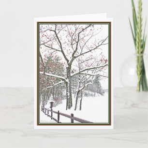 Cartes Pour Fêtes Annuelles ***Nominations dans la nature : Salutation de vaca