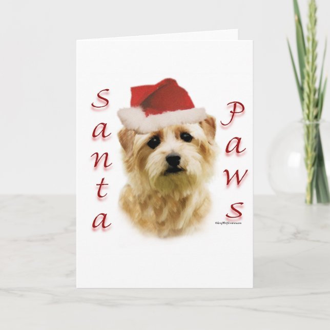 Cartes Pour Fêtes Annuelles Norfolk Terrier Père Noël Paws (Devant)