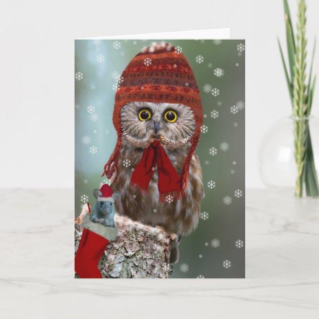 Cartes Pour Fêtes Annuelles Northern Saw-whet Owl Christmas (Devant)
