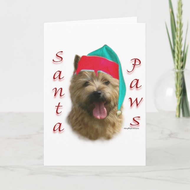 Cartes Pour Fêtes Annuelles Norwich Terrier Père Noël Paws (Devant)