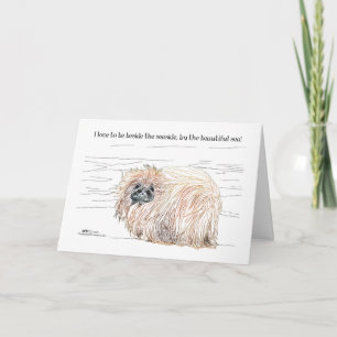 Cartes Pour Fêtes Annuelles Notes sur le chien Pékinois