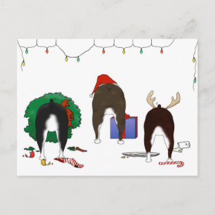 Cartes Pour Fêtes Annuelles Nothin' Butt A Boston Terrier Christmas