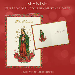 Cartes Pour Fêtes Annuelles Notre-Dame de Guadalupe Noël Pointsettia