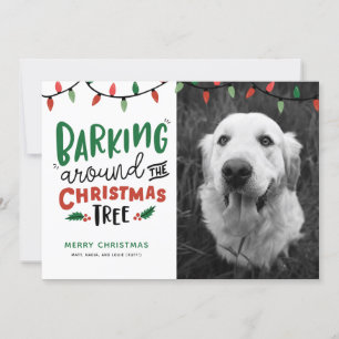 Cartes Pour Fêtes Annuelles Nourriture Autour De Noël Arbre Chien Chien Noël