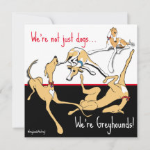 Nous sommes Greyhounds ! Thème noir, blanc et roug