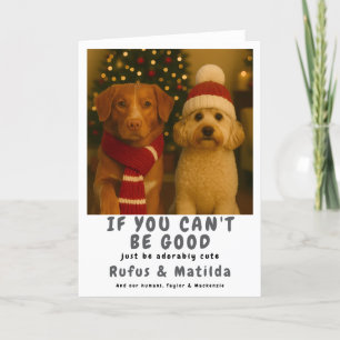 Cartes Pour Fêtes Annuelles Nous sommes sur la liste des vilains Chien Photo d