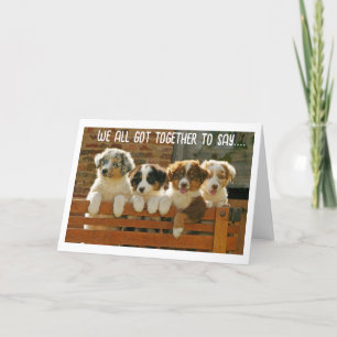 CARTES POUR FÊTES ANNUELLES NOUS VOULONS "VOUS" UN "JOLI ANNIVERSAIRE"