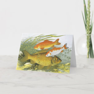 Cartes Pour Fêtes Annuelles Nous vous pêchons un joyeux Noël, Poisson rouge vi