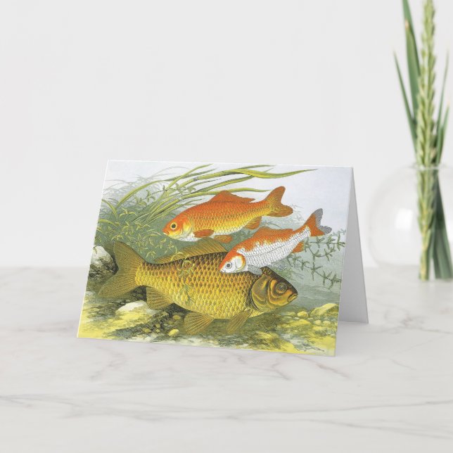 Cartes Pour Fêtes Annuelles Nous Vous Poissons Un Joyeux Noël, Poisson D'Or Vi (Devant)