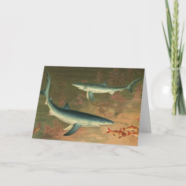 Cartes Pour Fêtes Annuelles Nous Vous Poissons Un Joyeux Noël, Requins Bleus V (Devant)