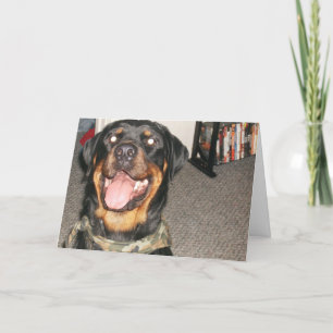 Cartes Pour Fêtes Annuelles Nouvel An 002