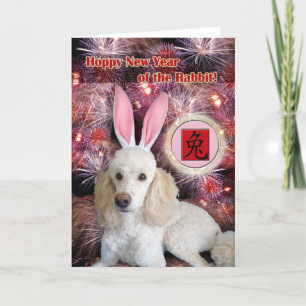 Cartes Pour Fêtes Annuelles Nouvel An chinois amusant du lapin