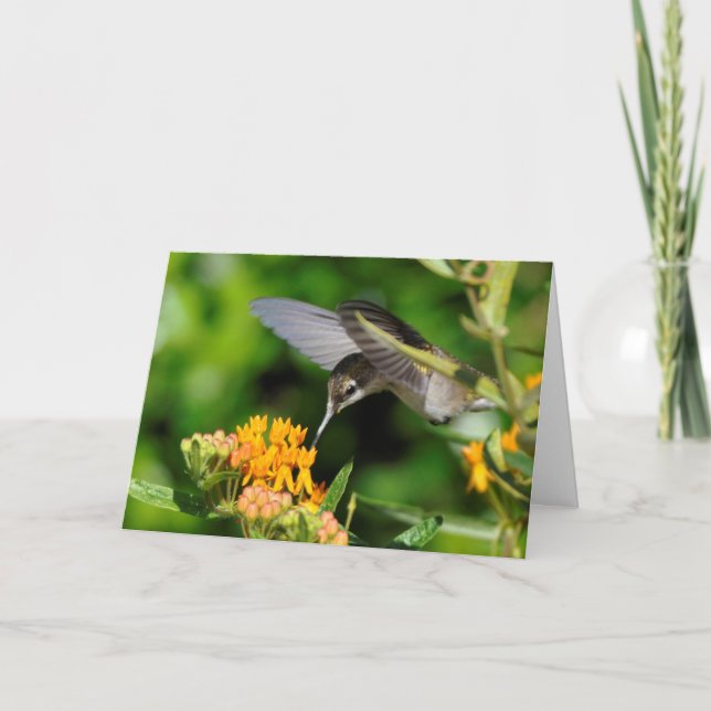 Cartes Pour Fêtes Annuelles Nouvel An des colibris (Devant)