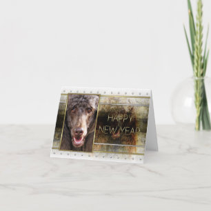 Cartes Pour Fêtes Annuelles Nouvel An - Golden Elegance - Poodle - Chocolat