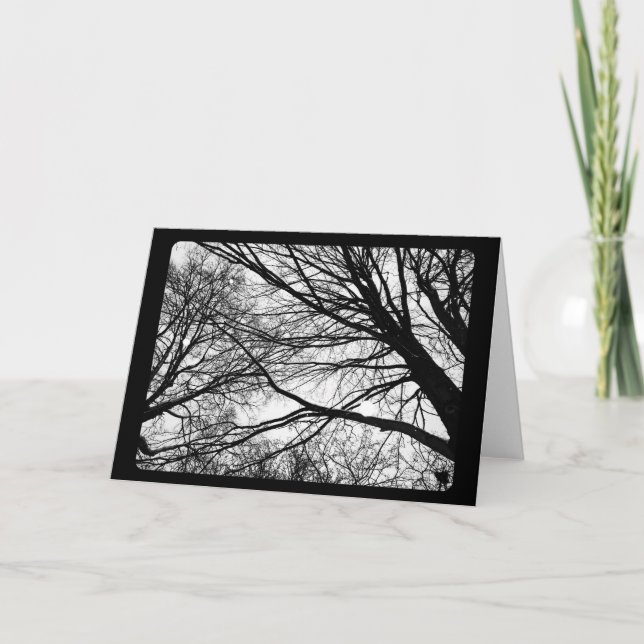 Cartes Pour Fêtes Annuelles Nouvel An & Solstice : Chute de neige sur l'érable (Devant)