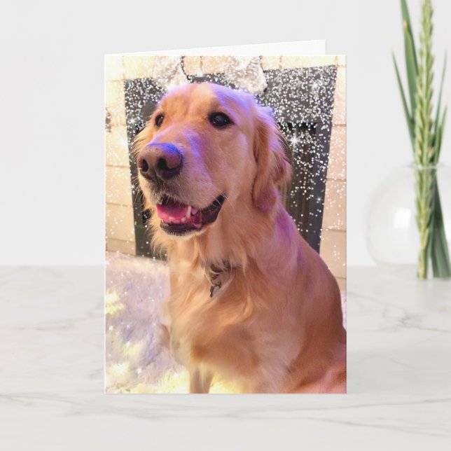Cartes Pour Fêtes Annuelles Nova Girl's Merry and Bright - Golden Retriever (Devant)