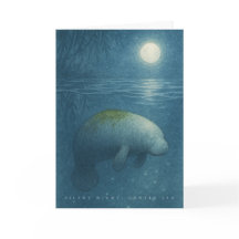 Nuit Silencieuse, Mer Douce – Manatee Paisible