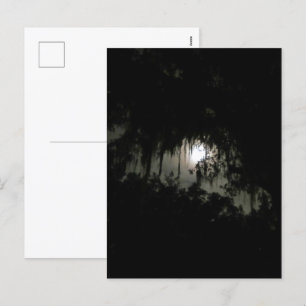 Cartes Pour Fêtes Annuelles Nuitée noire