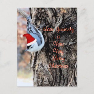 Cartes Pour Fêtes Annuelles Nuthatch Merry Christmas Postcard-customize