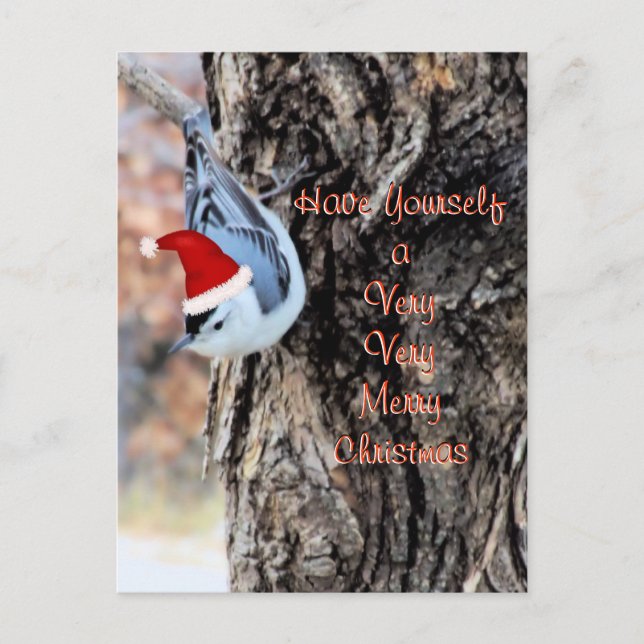 Cartes Pour Fêtes Annuelles Nuthatch Merry Christmas Postcard-customize (Devant)
