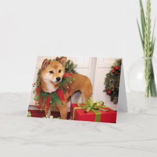 Cartes Pour Fêtes Annuelles Oakley - Shiba Inu - VanBladel