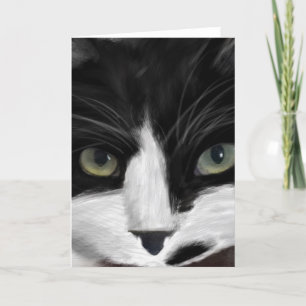 Cartes Pour Fêtes Annuelles observation de chat