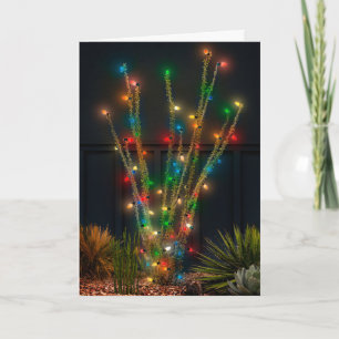 Cartes Pour Fêtes Annuelles Ocotillo lumineux